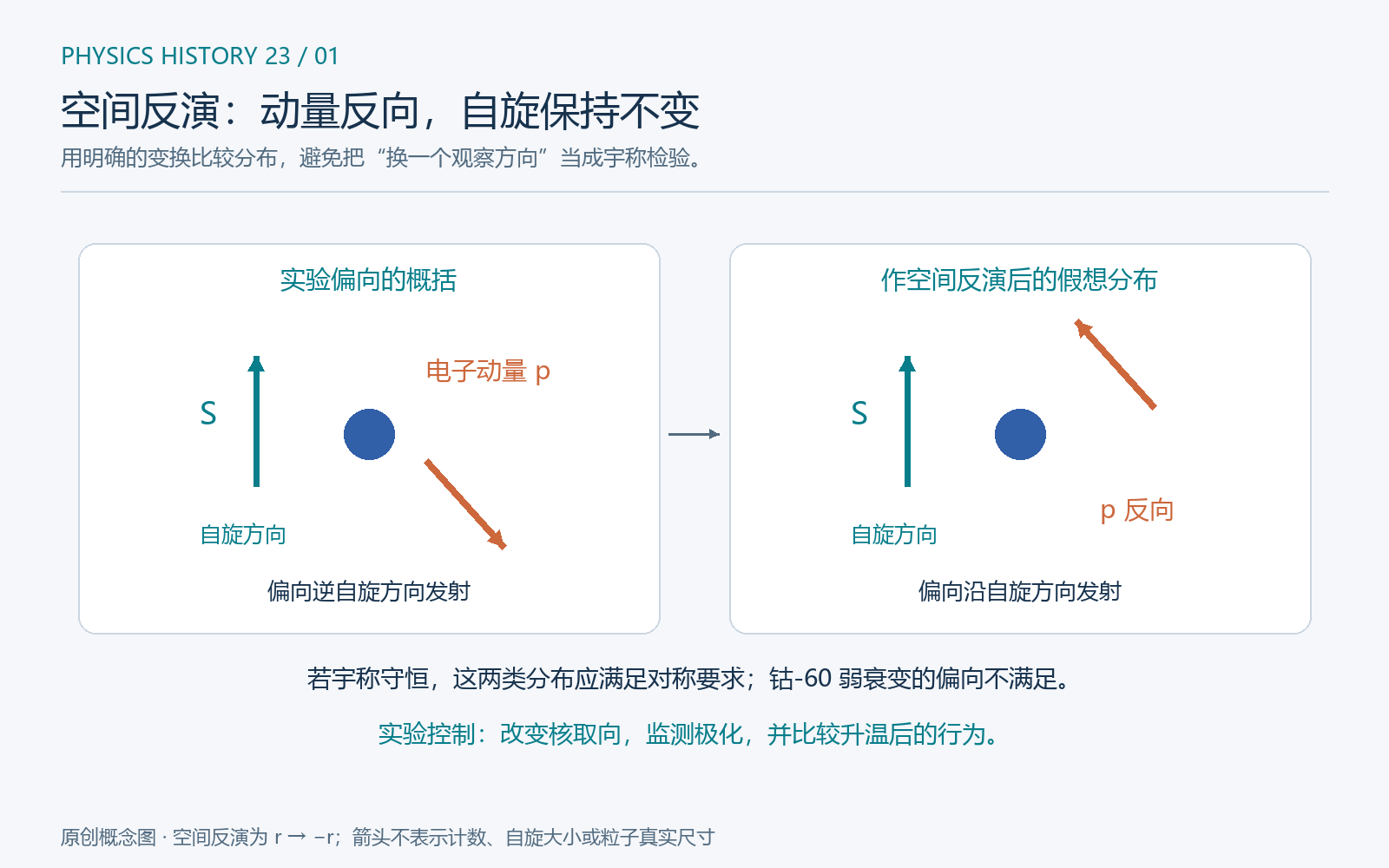 原创概念图。左侧概括钴-60 实验中的发射偏向;右侧是对左侧分布作空间反演得到的假想对应,不能把它当作第二组实测结果。自旋是轴矢量,在空间反演下不变;电子动量是极矢量,方向反转。箭头数量和长度不表示计数数据。