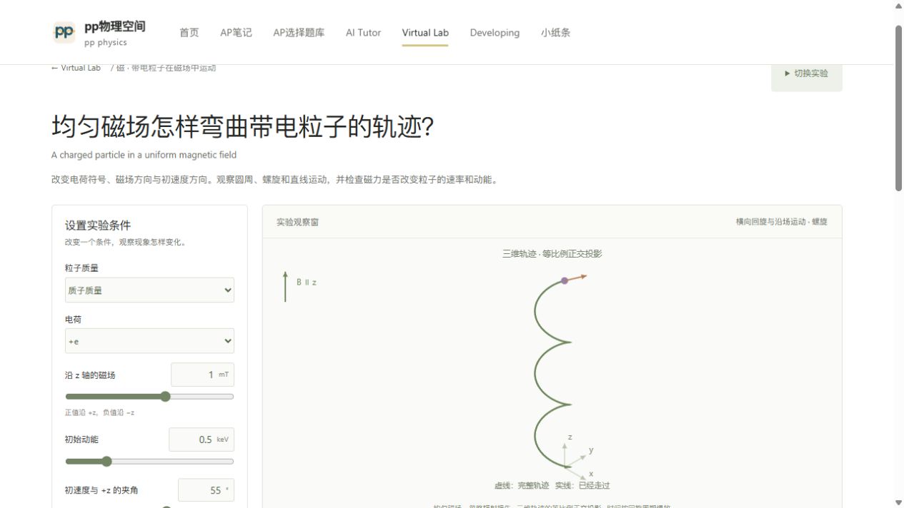 带电粒子在磁场中运动的实验观察窗预览